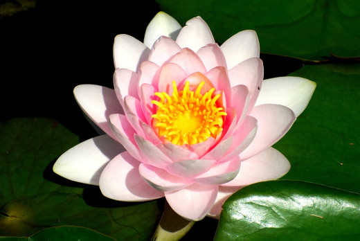 599812 (a): :2200x1470